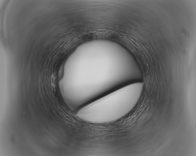X0000113591010200909181043