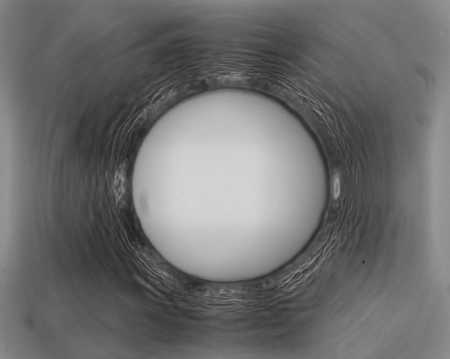 X0000113591011200909181043