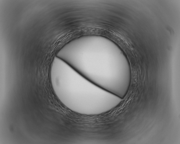 X0000113591013200909181043