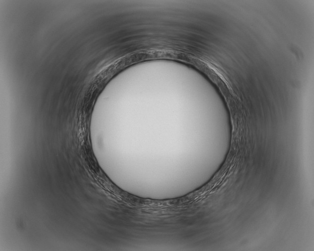 X0000113591015200909181043