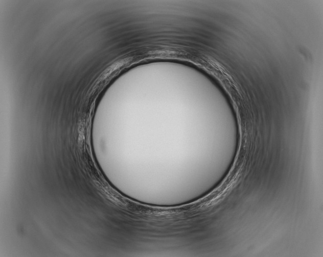 X0000113591017200909181043