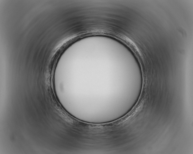 X0000113591019200909181043