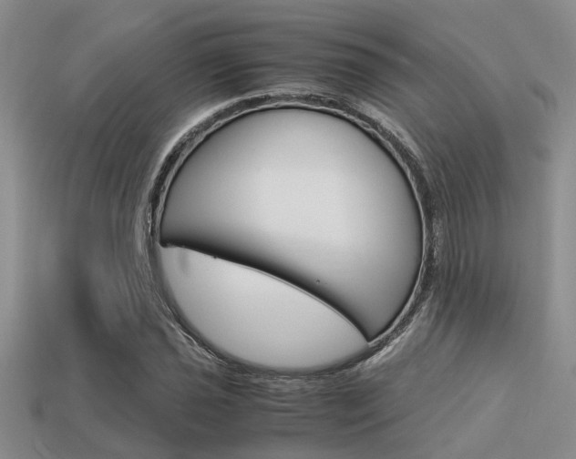 X0000113591021200909181043