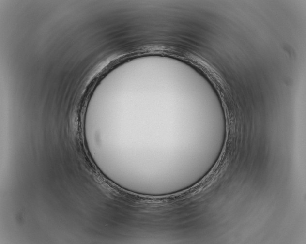 X0000113591023200909181043