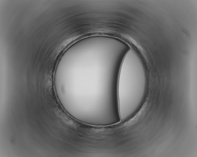 X0000113591025200909181044