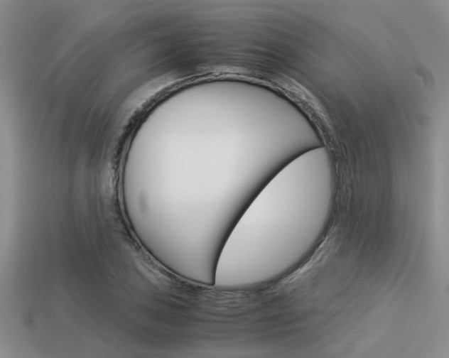 X0000113591027200909181044
