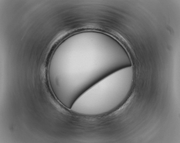 X0000113591029200909181044