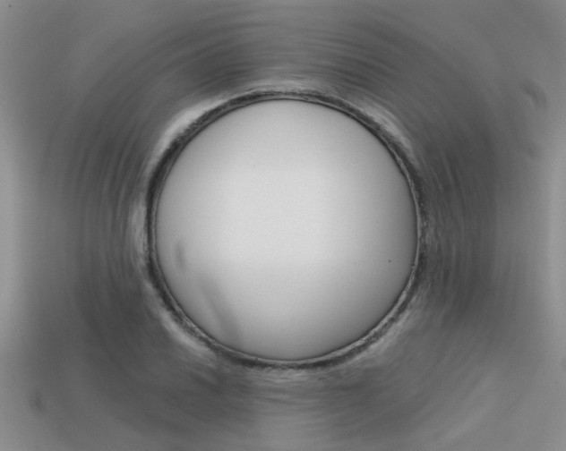 X0000113591030200909181044