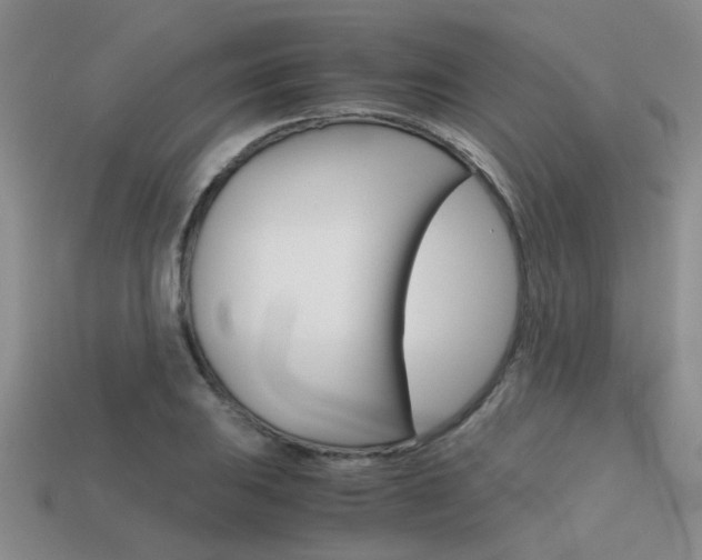 X0000113591031200909181044