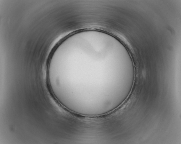 X0000113591032200909181044