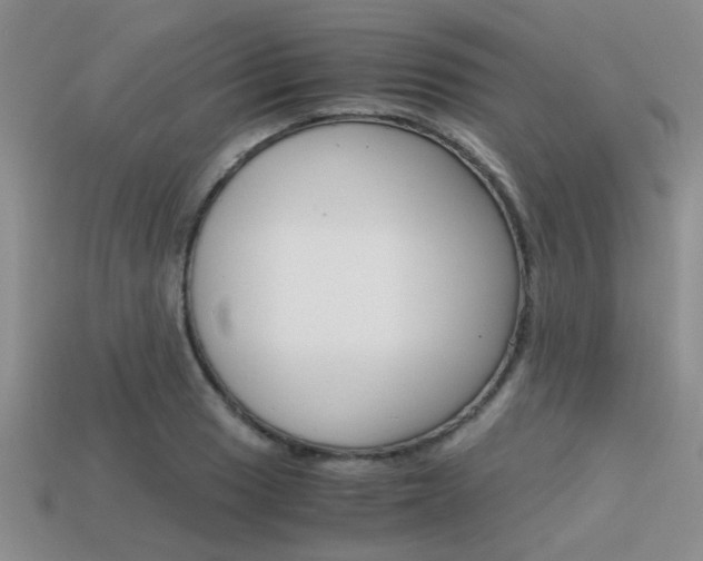 X0000113591033200909181044