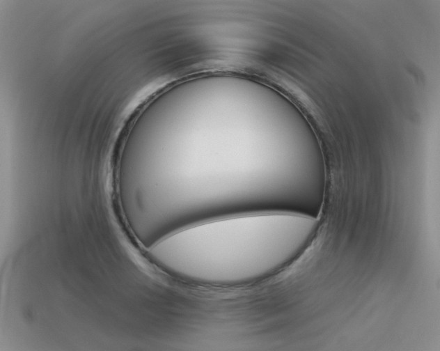 X0000113591034200909181044