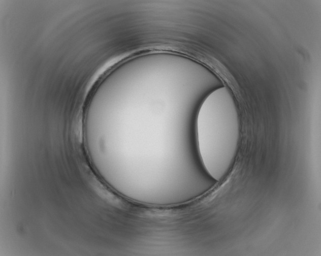 X0000113591036200909181044