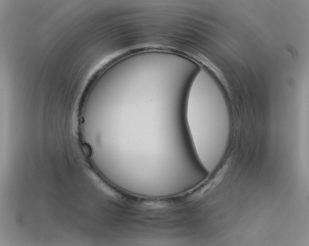 X0000113591037200909181044