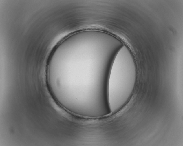 X0000113591038200909181044