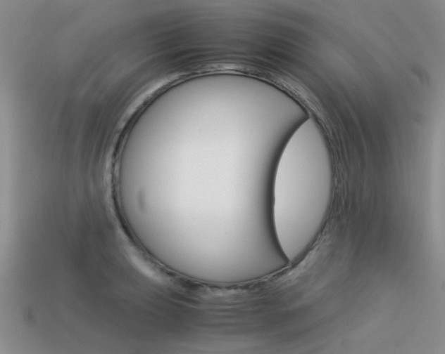 X0000113591039200909181044