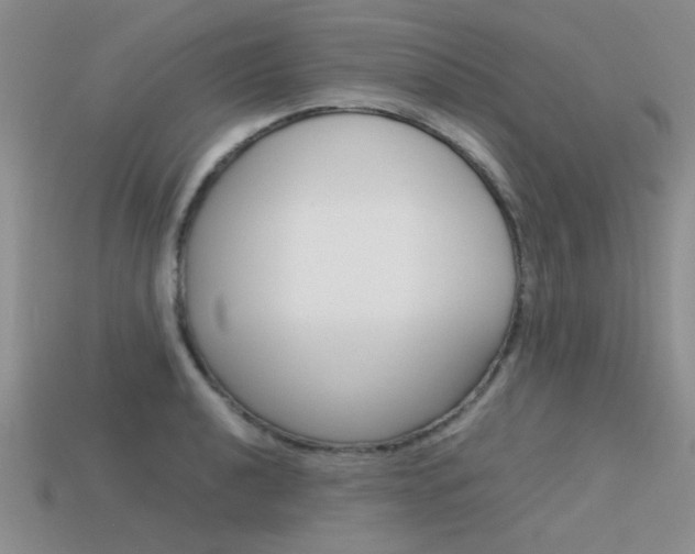X0000113591040200909181044