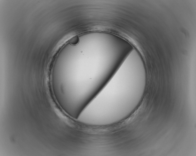 X0000113591042200909181044
