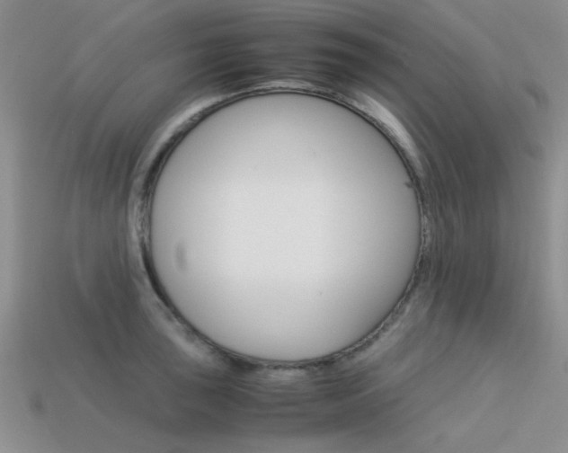 X0000113591043200909181044
