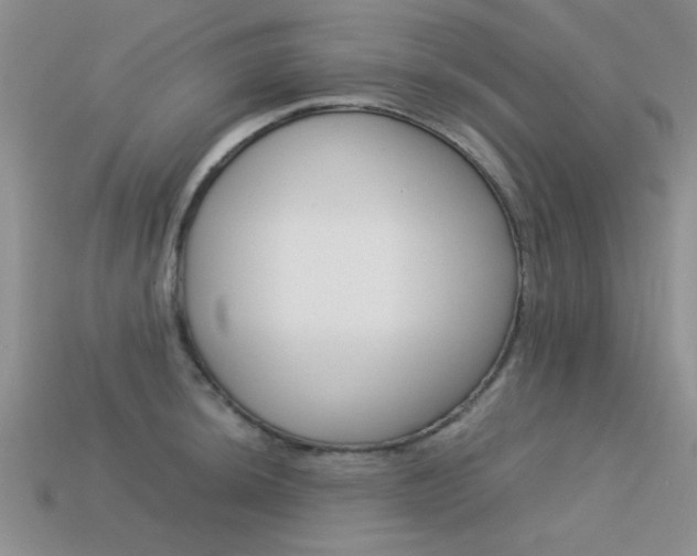 X0000113591044200909181044
