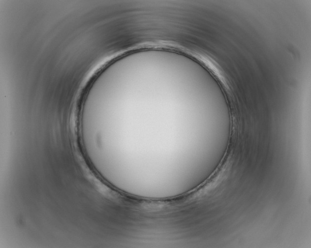 X0000113591046200909181044