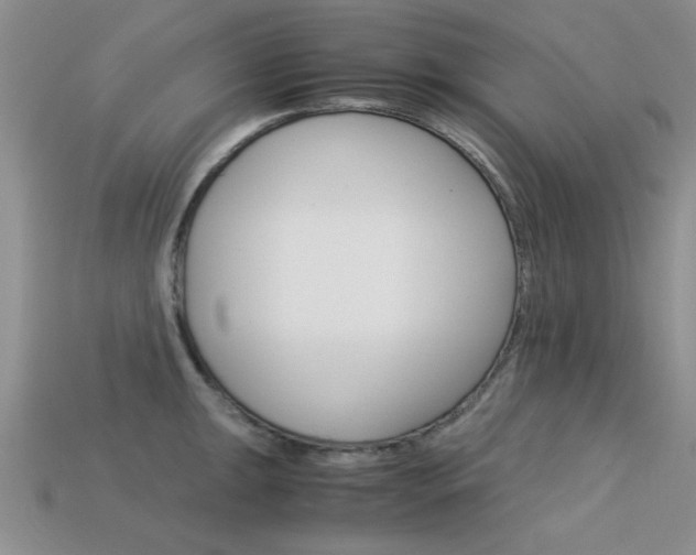X0000113591047200909181044