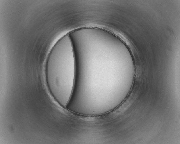 X0000113591048200909181044