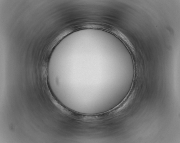 X0000113591049200909181044
