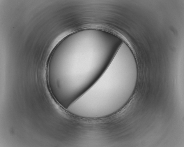 X0000113591050200909181044
