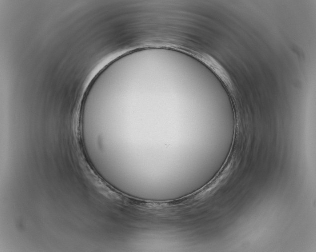 X0000113591052200909181044