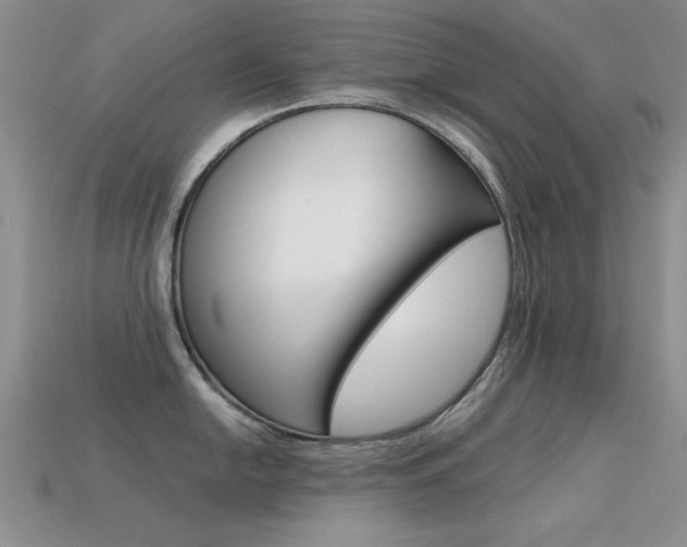 X0000113591054200909181044