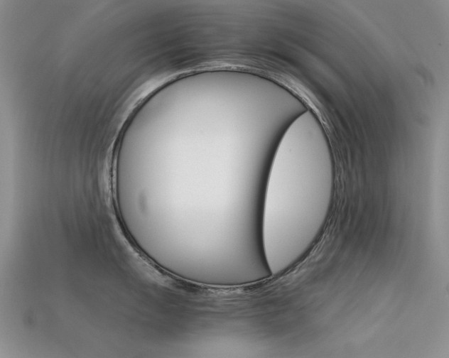 X0000113591055200909181044