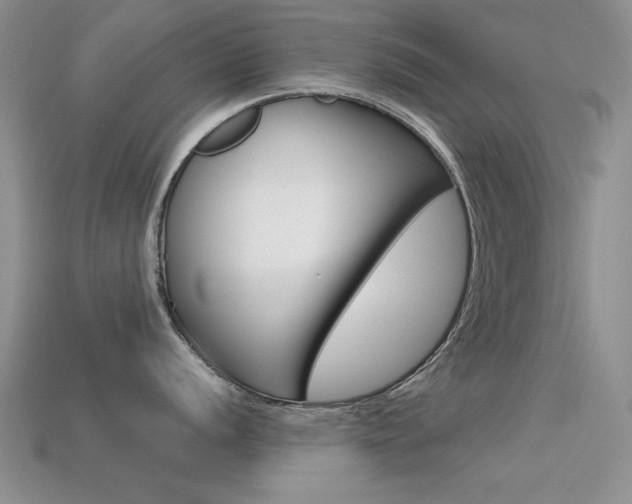 X0000113591056200909181044