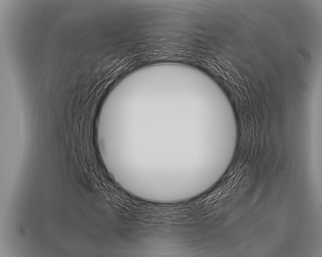 X0000113591057200909181043