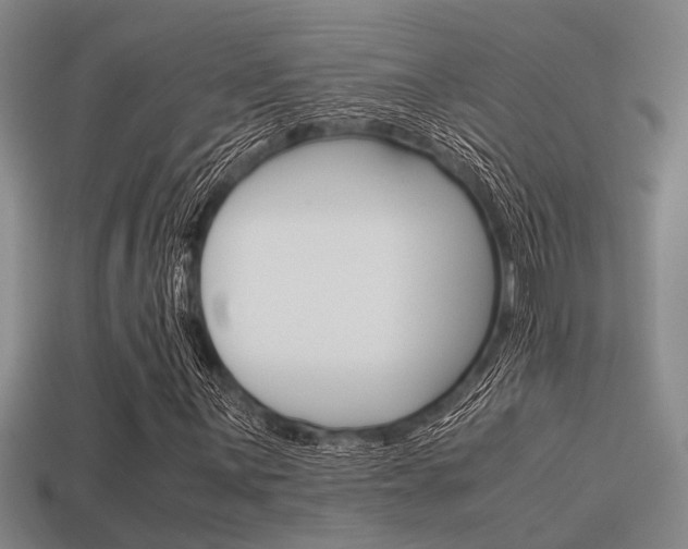 X0000113591059200909181043