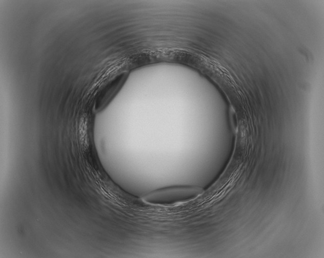 X0000113591060200909181043
