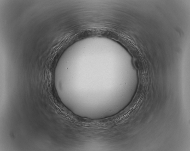 X0000113591061200909181043
