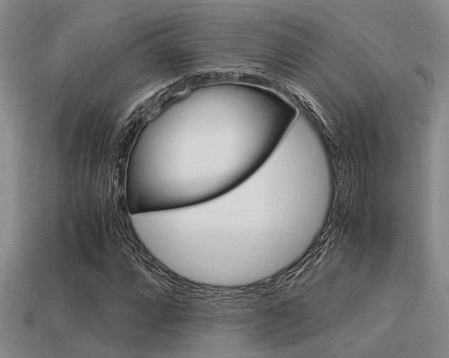X0000113591064200909181043