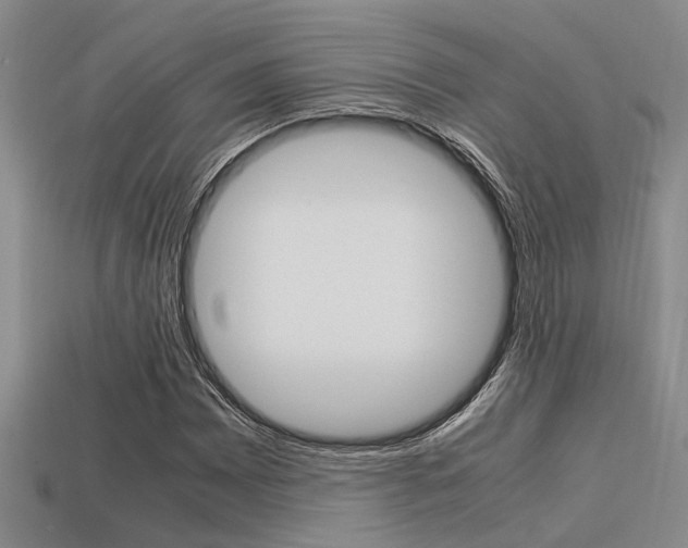 X0000113591065200909181043