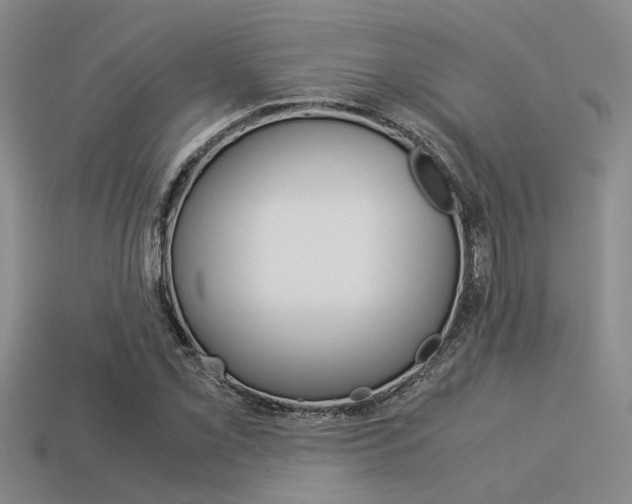 X0000113591069200909181043
