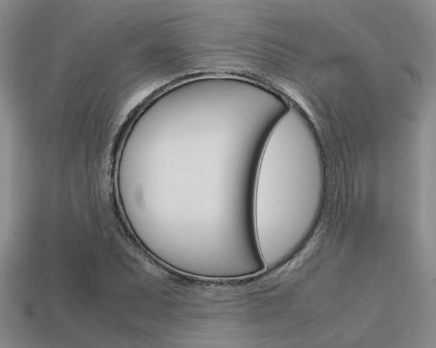 X0000113591071200909181043