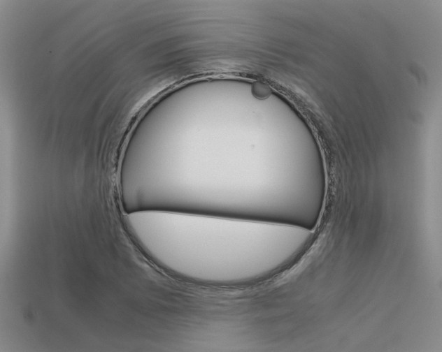X0000113591073200909181043