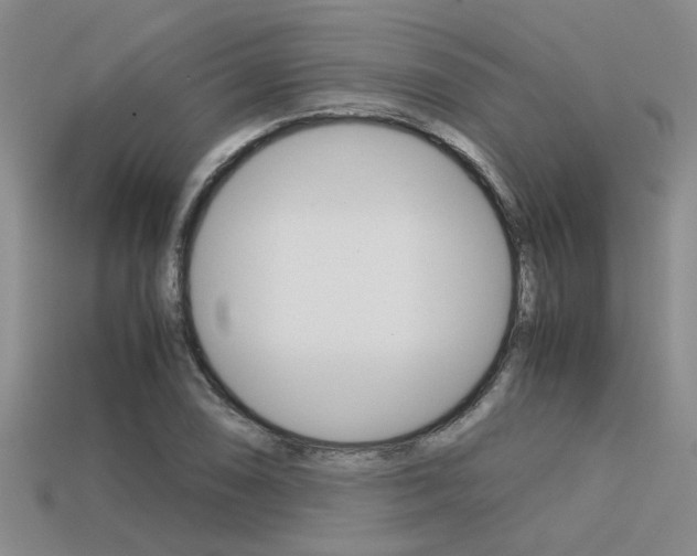 X0000113591074200909181043
