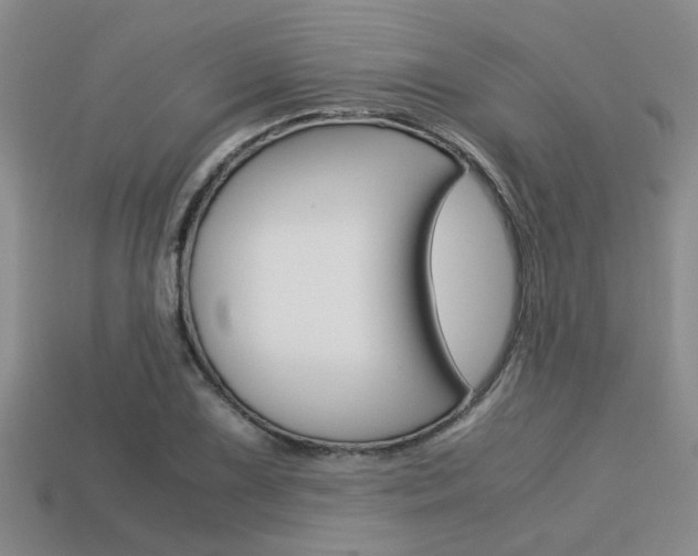 X0000113591075200909181043