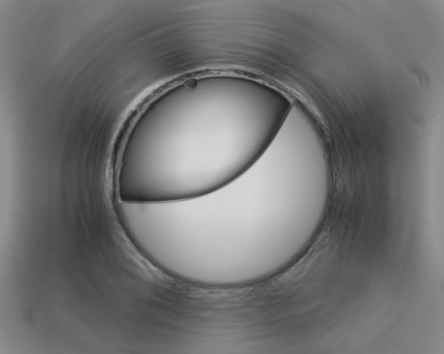 X0000113591076200909181043