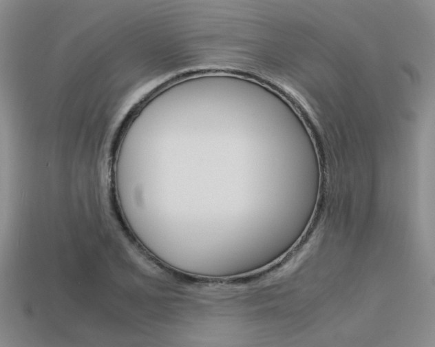 X0000113591077200909181043