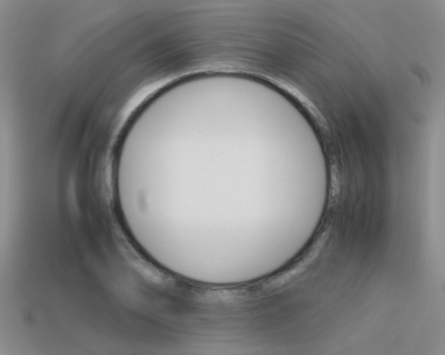 X0000113591078200909181043