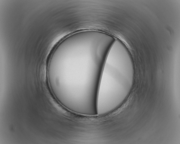 X0000113591079200909181043