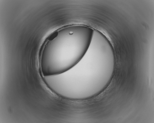 X0000113591080200909181043