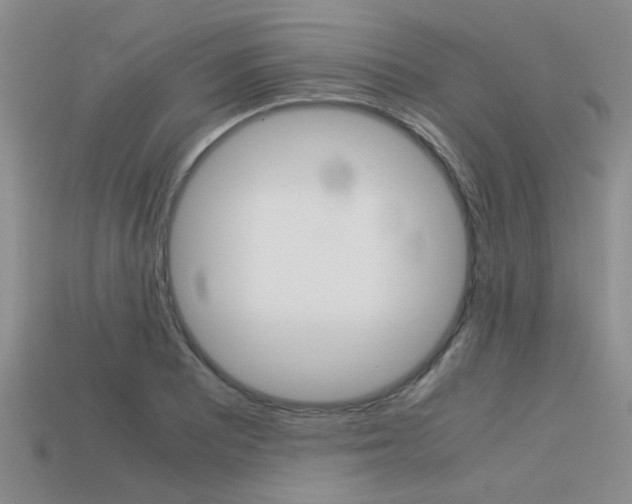 X0000113591081200909181043